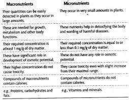 differences between macronutrients