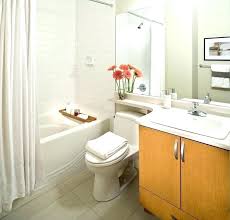 Bathroom Remodel Ideas And Cost Tecnodefinitions Club