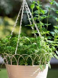 Hanging Herb Baskets How To Make An