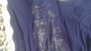how to remove mould from clothes