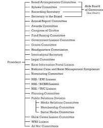 Nss Organization Structure