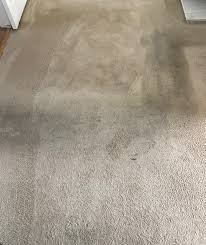 dry carpet upholstery and hard floor