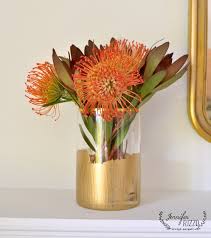 Protea In Gold Paint Stripe Glass Vases