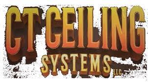 ct ceiling systems