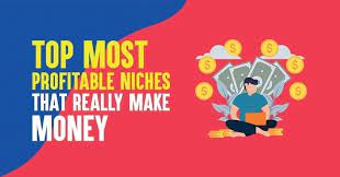 top 13 most profitable niches list that