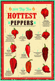 Hottest Pepper Chart Canadianpharmacy Prices Net