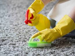 carpet cleaning pest control