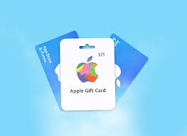 how can i check my apple gift card