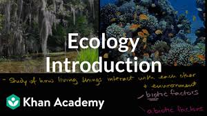 Ecology Introduction Video Ecology Khan Academy