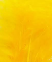 Golden Yellow Colour Chart Veniard Fly Tying