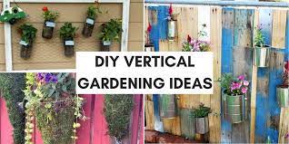20 Vertical Gardening Ideas Grow More