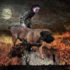 With a name in afrikaans meaning farmer dog, the south african boerboel doesn't sound like the massive, protective mastiff that it is. Allen S Virginia Boerboels And Miniature Boerboels South African Boerboels