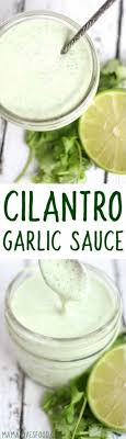 cilantro garlic sauce easy pollo