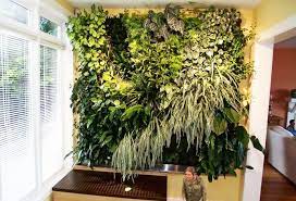 Indoor Plant Wall Vertical Garden