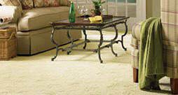 carpet cleaning fort worth upholstery