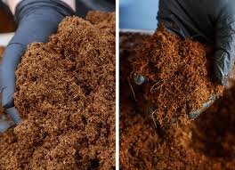 peat moss vs coco coir what s the