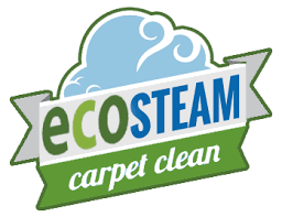 professional carpet steam cleaning san