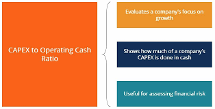 Consumers, business firms, and governments often do not have the funds available to make expenditures, pay their debts, or complete other transactions and must borrow or sell equity to obtain the money they need to conduct their operations. Capex To Operating Cash Ratio Definition Example Corporate Finance Institute