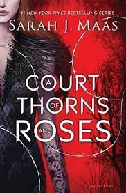 Throne of glass by sarah j. 11 Young Adult Fantasy Books Like Throne Of Glass By Sarah J Maas