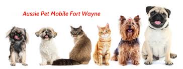 Depending on what you would also like to have accomplished times spent will also vary. Aussie Pet Mobile Fort Wayne Home Facebook