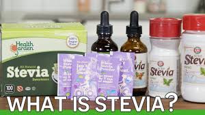 What Is Stevia And Is It Right For You Happy Wellness Life