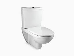 Wall Hung Toilet Seat With Exposed Tank
