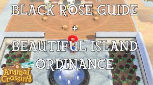 acnh how to grow black roses and the