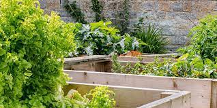 Make A Diy Raised Bed For Growing