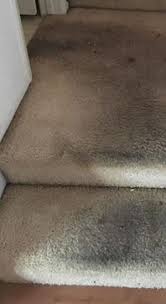 emerald carpet cleaning dublin rug