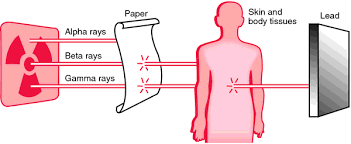 primary radiation by cal dictionary