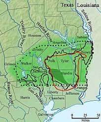 Ending abuse of big cats with better laws. Big Thicket Wikipedia