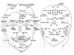 Scalp And Head Reflex Points Acupressure Therapy