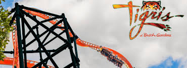 tigris the new roller coaster coming to