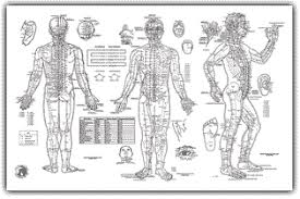 Pressure Point Charts Store The Ryukyu Dojo 9th Dan