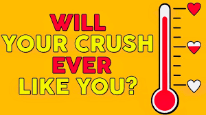 will your crush ever like you