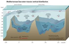 Mediterranean Sea Water Masses Vertical Distribution Grid