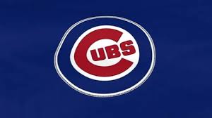 15 chicago cubs flag stock video