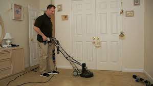 carpet cleaning services squeaky