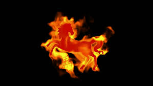 We did not find results for: Chinese Zodiac Of Fire Horse Stock Footage Video 100 Royalty Free 4141516 Shutterstock