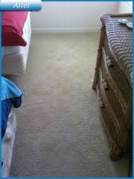 best carpet cleaning san go north