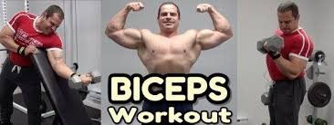 dumbbell bicep workout