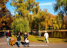 boston s public garden 10 top