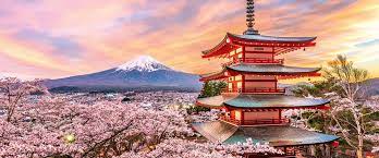 Some visit to experience its natural beauty, others visit for the history. 5 Japan In Bloom With Mount Fuji Tailored Escapes