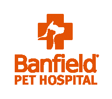 #banfield , a través de @stredium, lanza su primera colección de nfts relacionados con ídolos históricos del club. Client Service Coordinator 000283 Banfield Pet Hospital