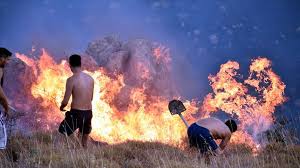 Jul 29, 2021 · pina yarımadası'nda yangın! Bodrum Da Makilik Alanda Yangin Cikti