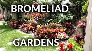 bromeliad gardens you