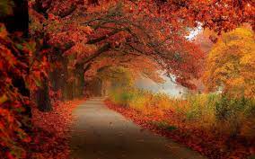 Autumn scenery, Autumn nature ...