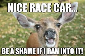 deer-meme.png via Relatably.com