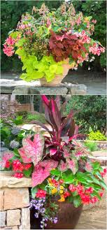 container garden planting lists