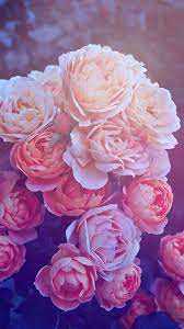 Pastel Aesthetic Rose Wallpapers on ...